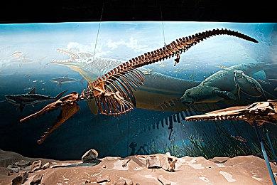 Paradox公布《吸血鬼：避世血族2》实机视频